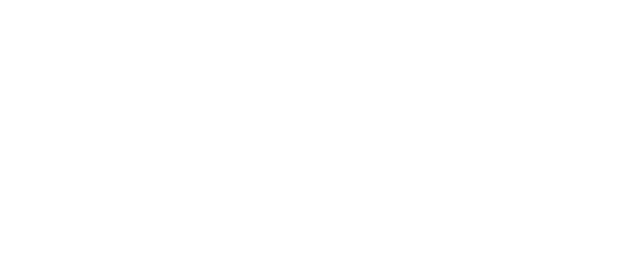 Lineout featured Google Ads & facebook marketing client Capezio.