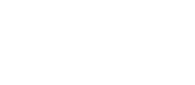 Lineout featured digital marketing client *spotfund.